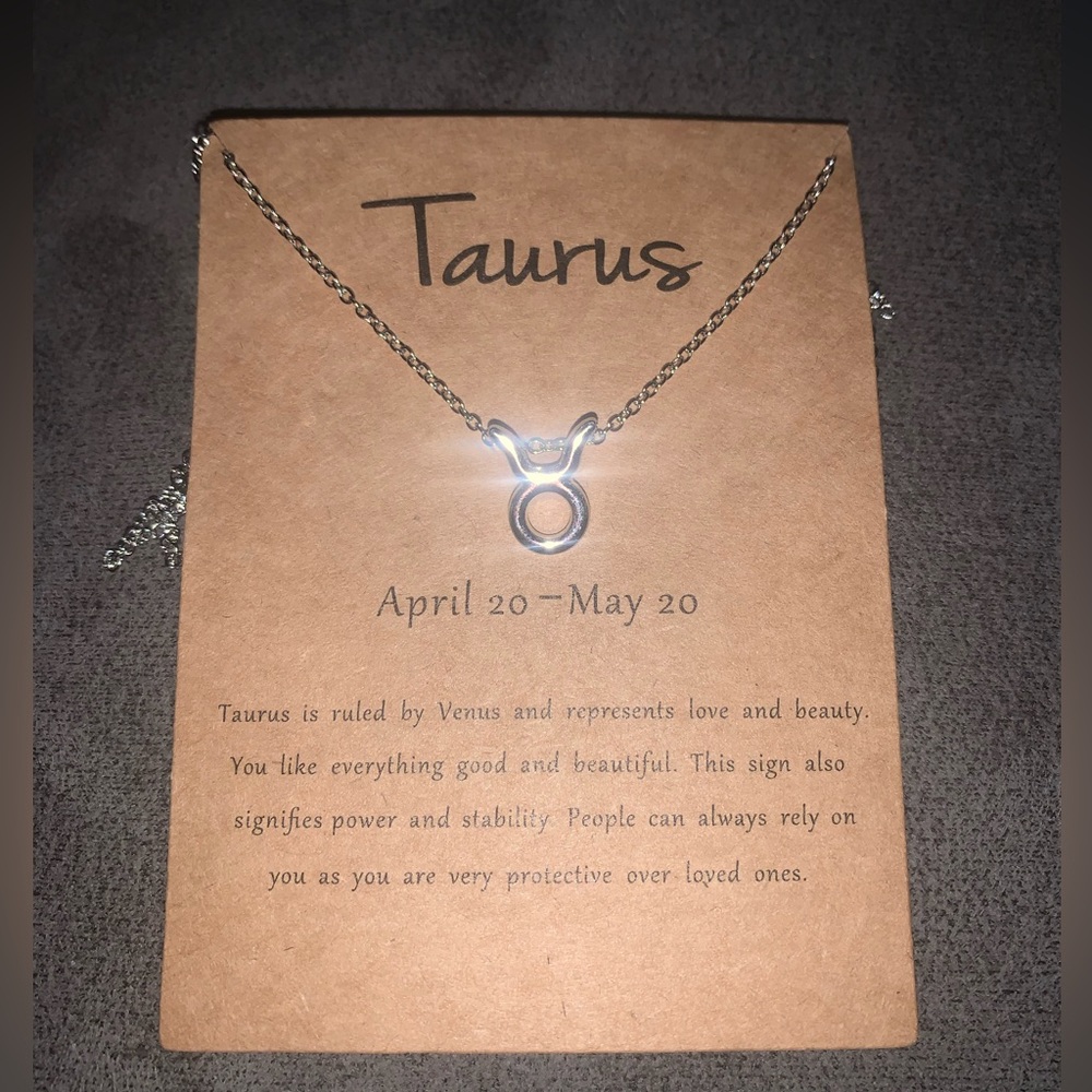 TAURUS Zodiac Symbol Silver Necklace